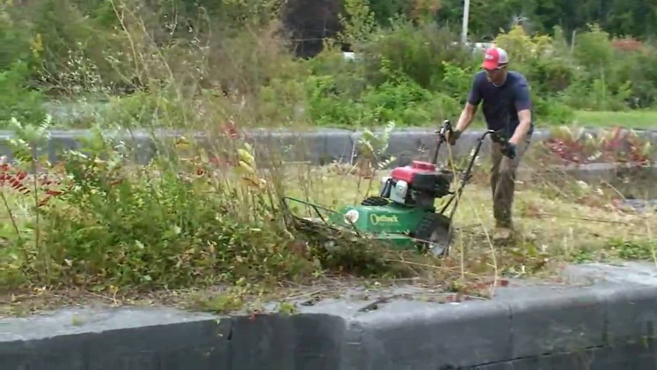 Trailworks Fall Trail Clearing