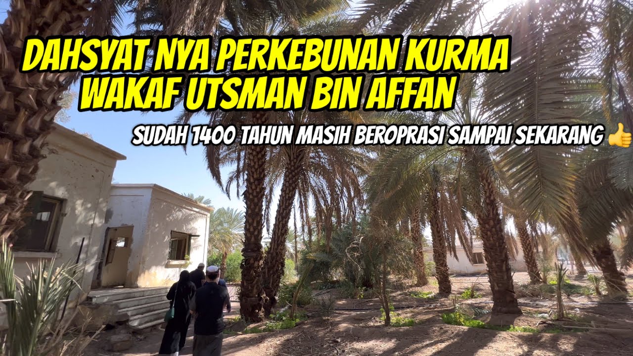 DAHSYAT NYA PERKEBUNAN KURMA WAKAF UTSMAN BIN AFFAN SEJAK 1400 TAHUN LALU