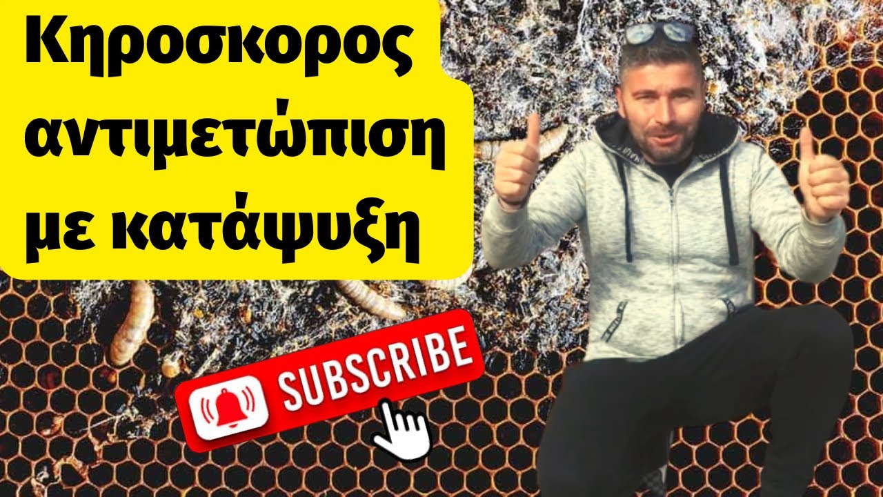 Κηροσκορος αντιμετώπιση με κατάψυξη εύκολος τρόπος