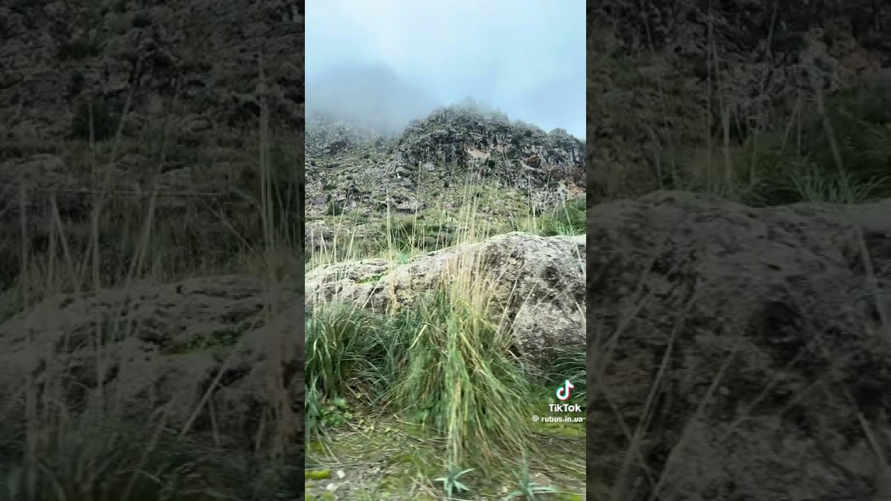 Спасти квартиру в ЛНР. Это актуально!!! 