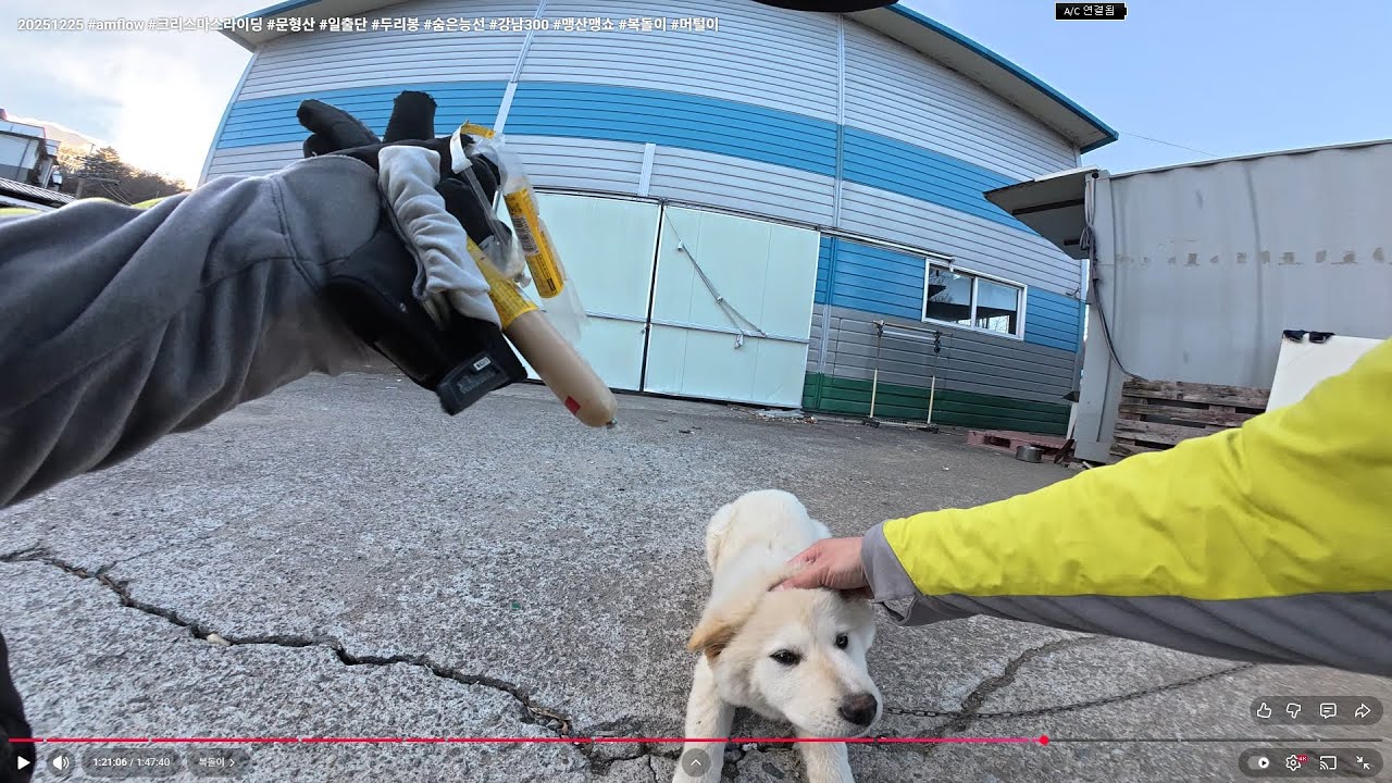 20251225 #amflow #크리스마스라이딩 #문형산 #일출단 #두리봉 #숨은능선 #강남300 #맹산맹쇼 #복돌이 #머털이