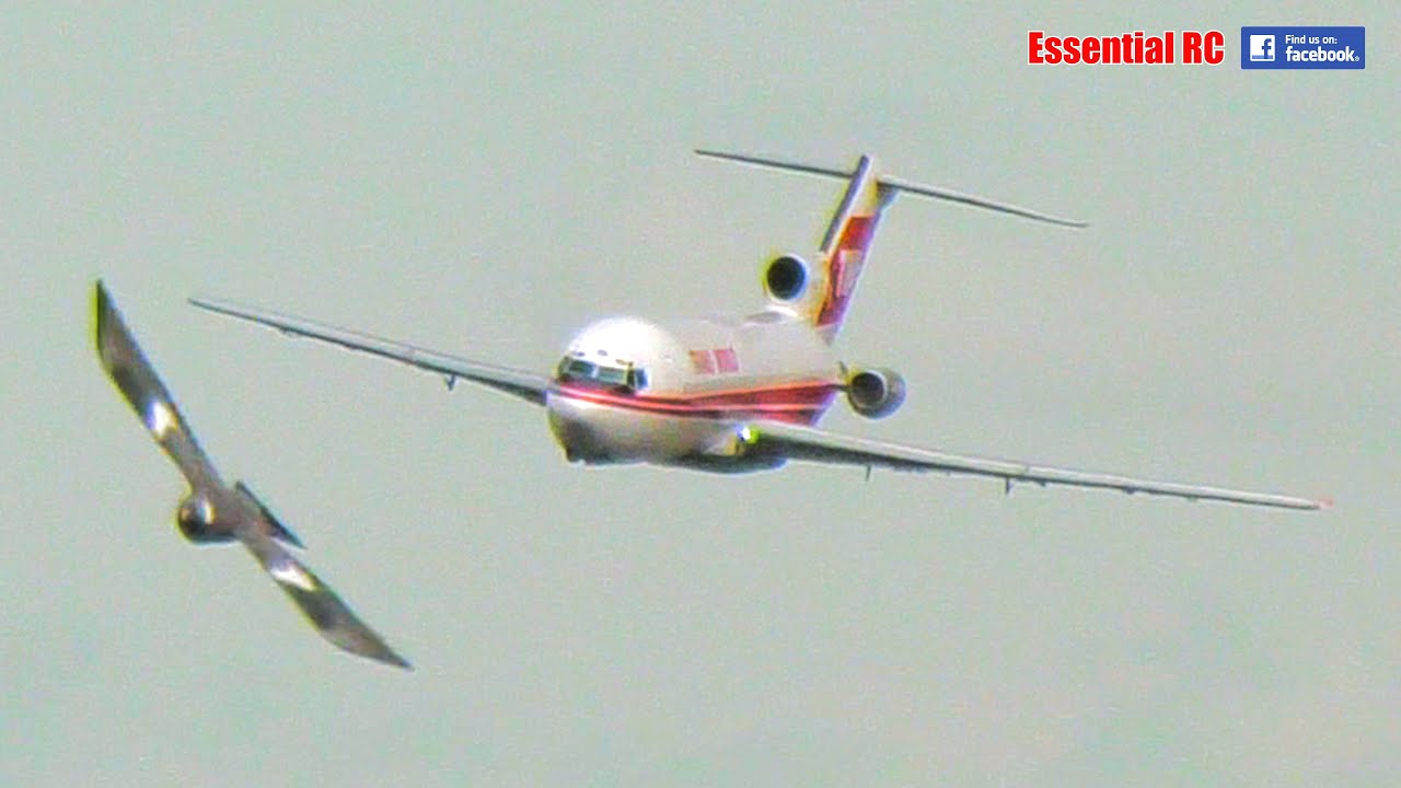 THAT WAS CLOSE ! Turbine RC jet airliner nearly hits bird | Wings & Wheels Model Spectacular 2022