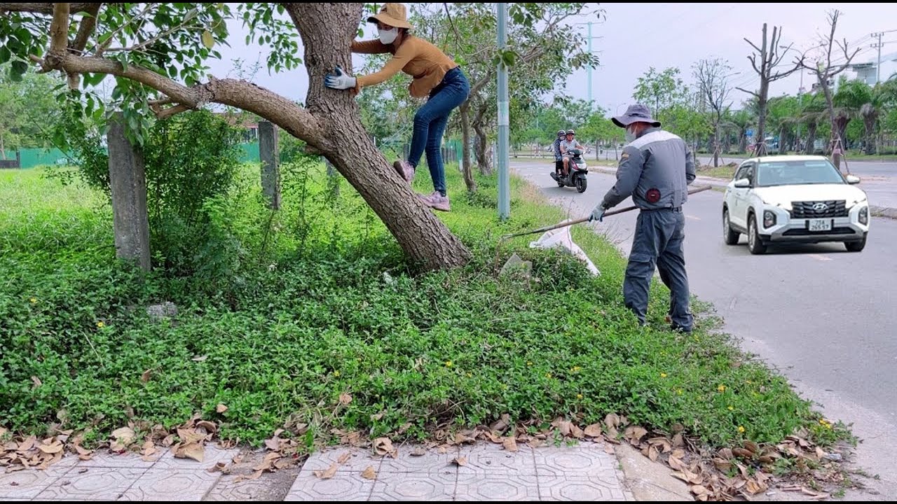 Восстановление тротуара, который был заброшен в течение 20 лет и не чистился.
