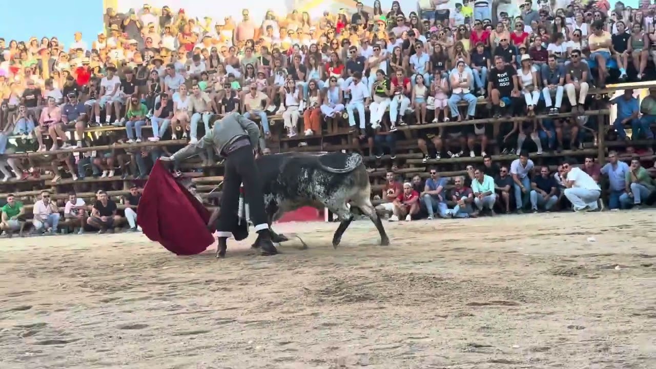 🐂 Tourada Barrancos 2025 | 30 Agosto | 1.&ordm; Touro &ndash; Faena Parte 2 (Condor, Jos&eacute; Garrido)