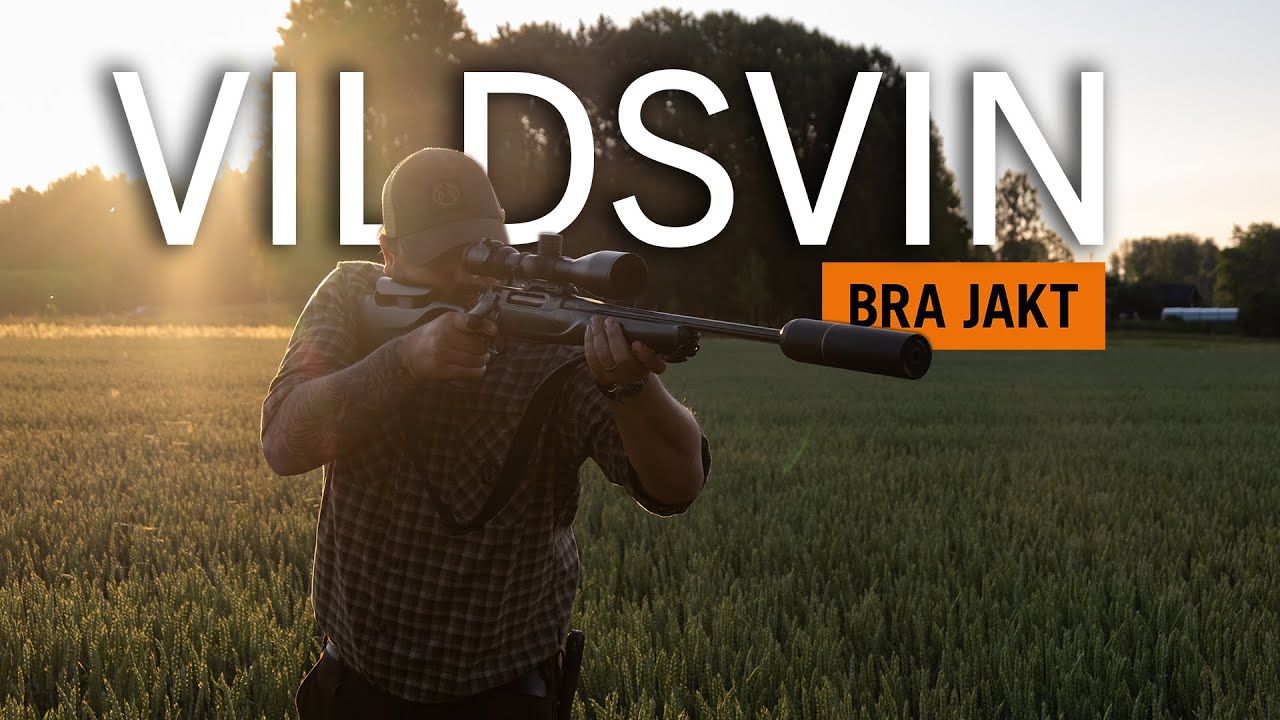 VILDSVINSJAKT I SPANNMÅLEN - Med Daniel da Silva! | BRA JAKT