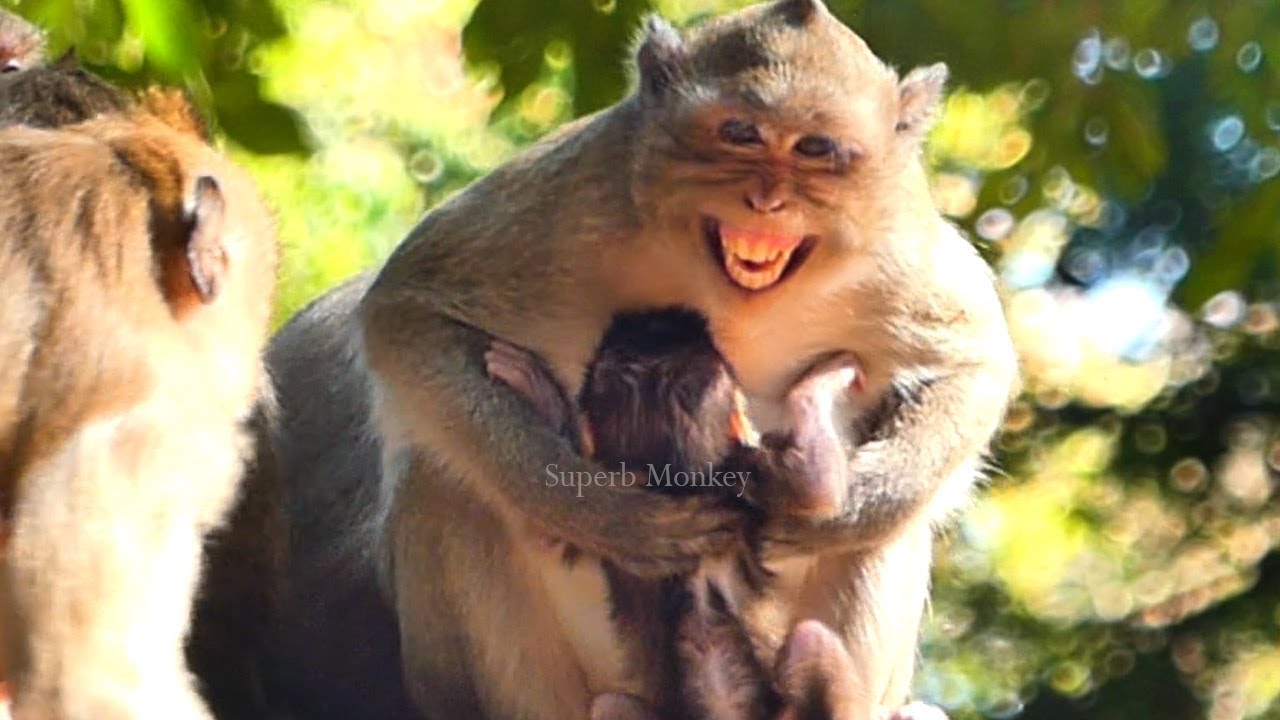 Wow...! Time gentle for baby Jiva, but @nxious moment on Jazzy, While brighten arrived