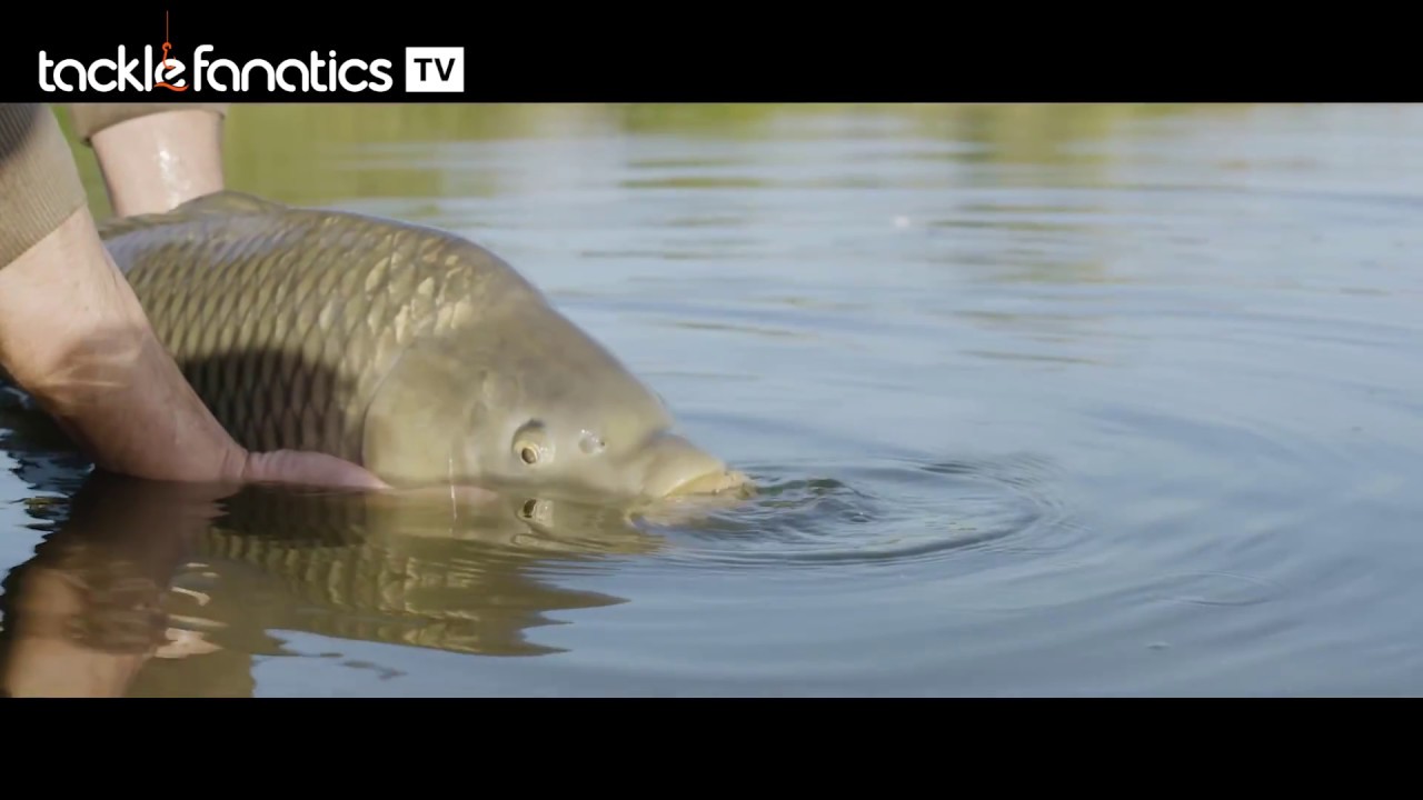Tackle Fanatics TV &ndash; Shimano TX5 Carp Rod