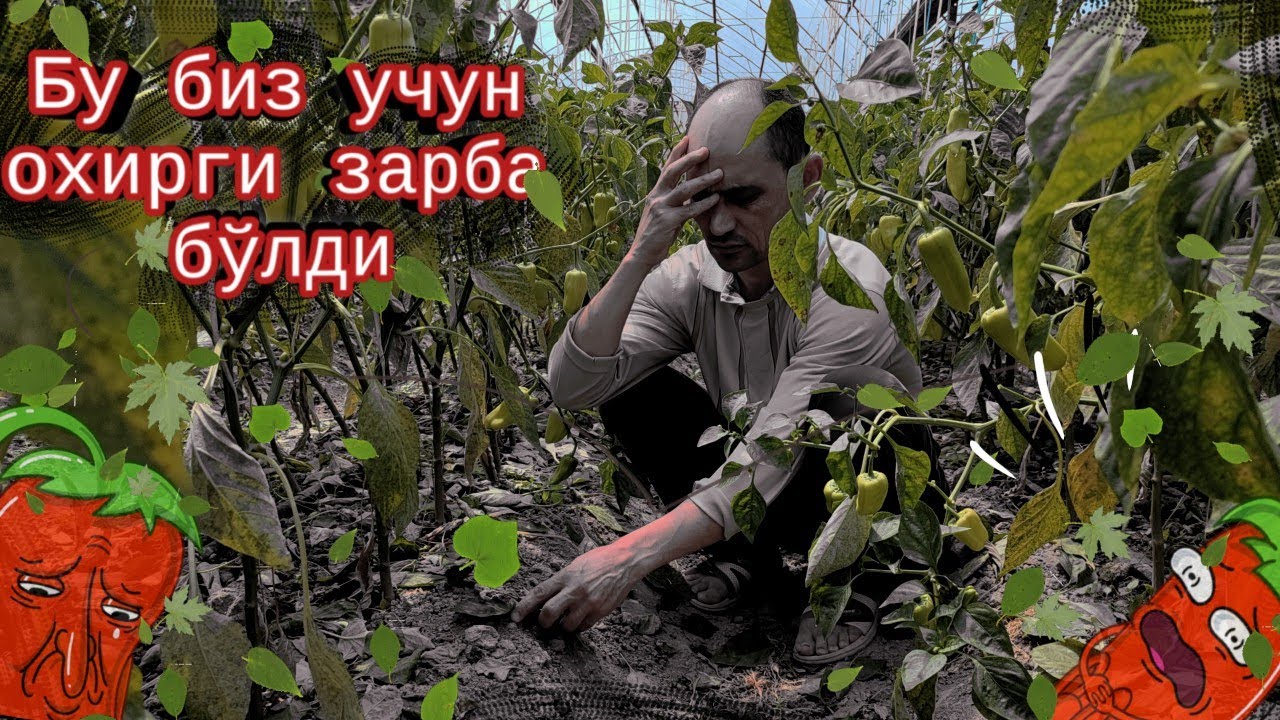Бу биз учун охирги зарба бўлди