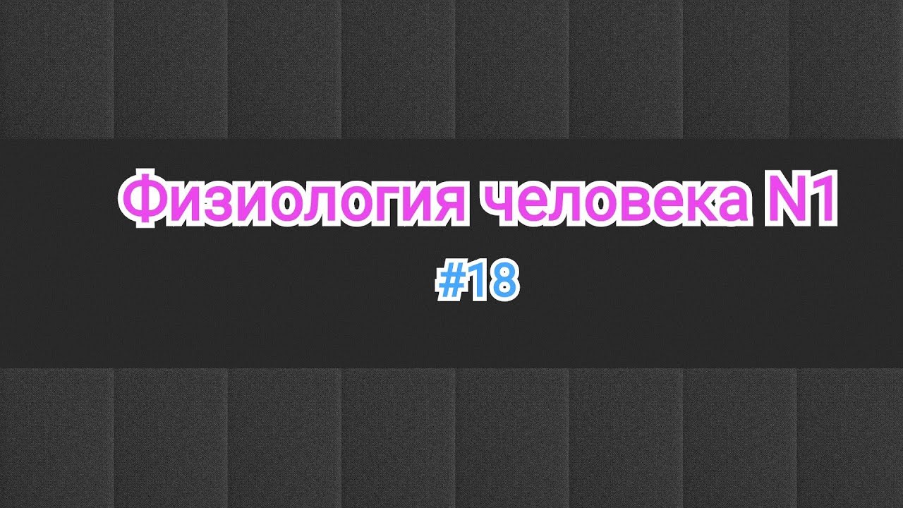 Физиология человека. Тема 18.Торможение в ЦНС