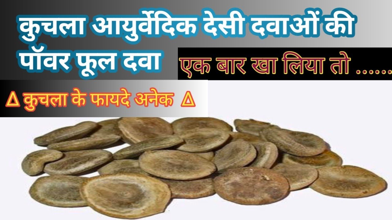 What are the benefits of Kuchala? What are the disadvantages of Kuchala? Kuchala uses and benefits