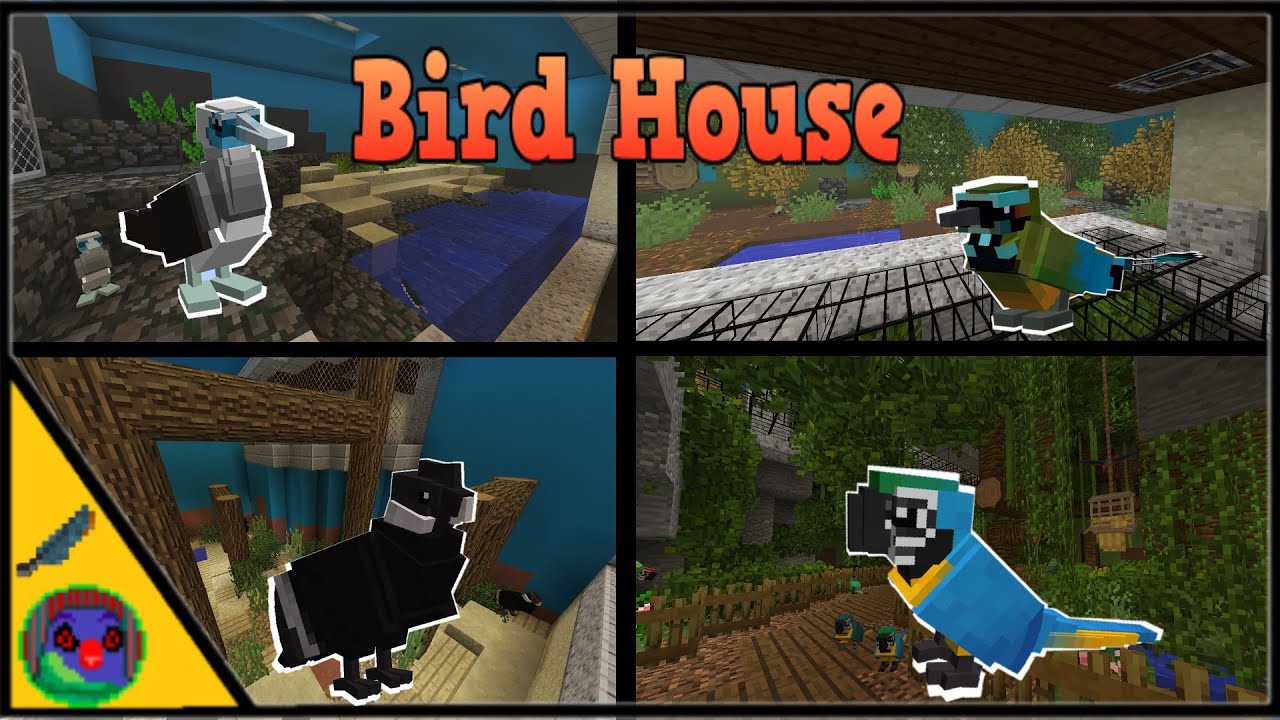 Birds of South America | Bird House Minecraft | Part 1