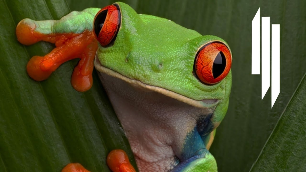 Skrillex & JOYRYDE - Frog ID / Talk to Em (Full Version) [Unreleased]