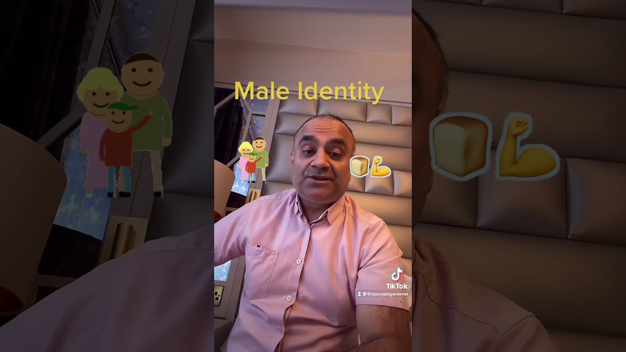 Changes in the Male Identity ?