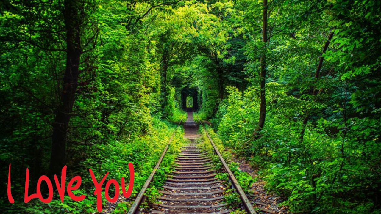 💚🇺🇦Украина, Туннель любви, Бельгийская Малинуа Линда.