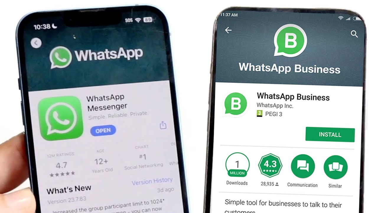 WhatsApp Vs WhatsApp Business! (Comparison) (Review)