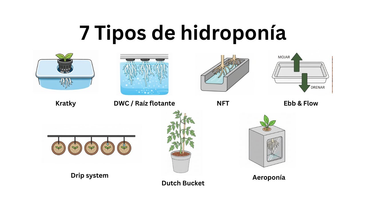 Los 7 TIPOS DE HIDROPONÍA más usados explicado en 4 MINUTOS