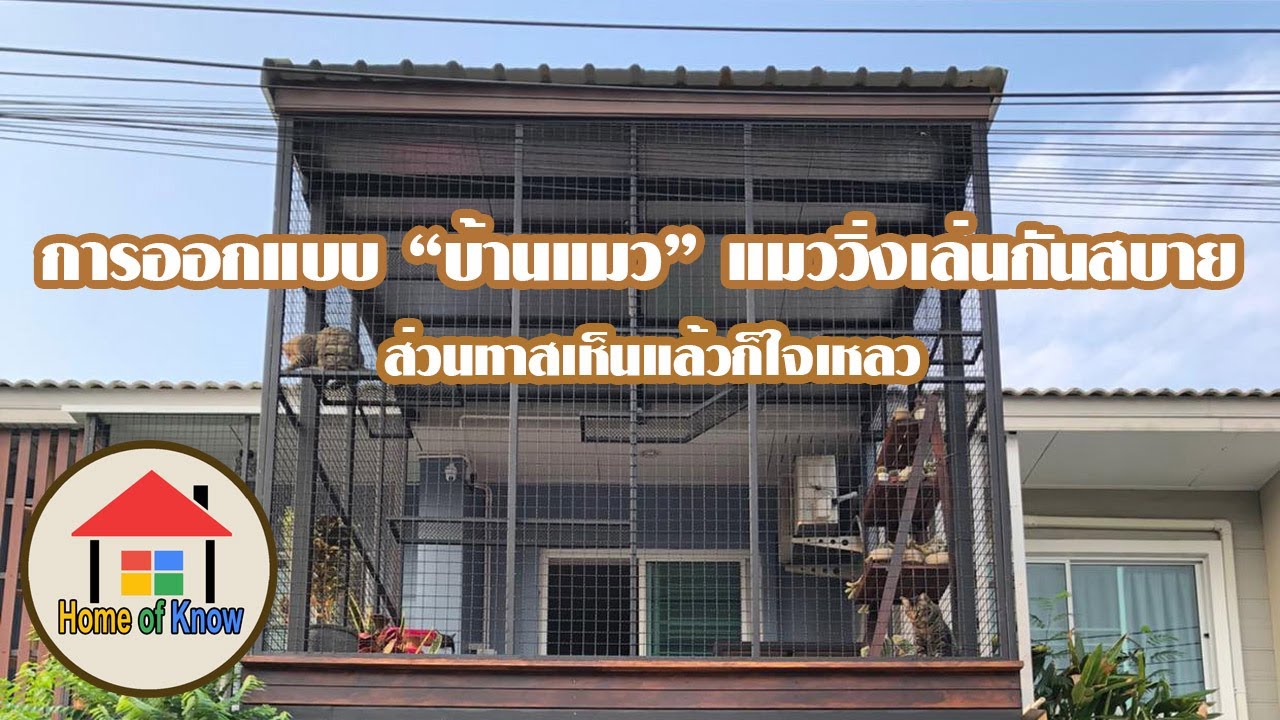 การออกแบบ บ้านแมว แมววิ่งเล่นกันสบาย  | Home of Know