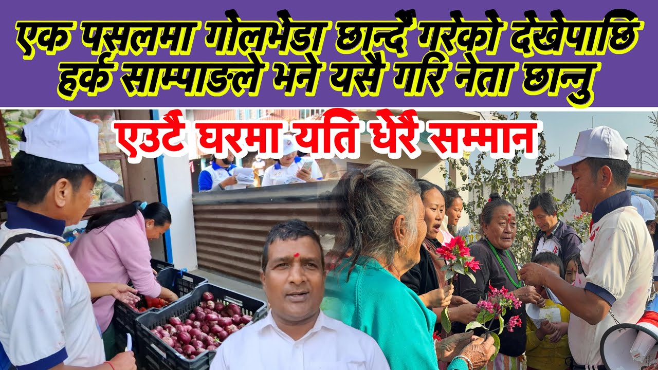 एक पसलमा गोलभेडा छान्दै गरेको देखेपाछि हर्क साम्पाङले भने यसै गरि नेता छान्नु, 