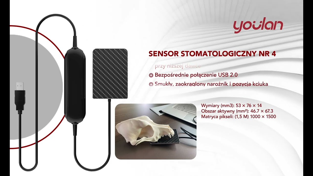 Veterinary dentistry from Youlan