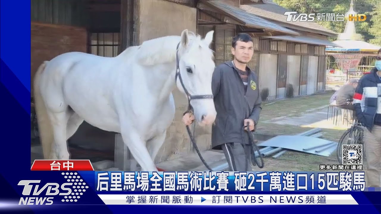 后里馬場全國馬術比賽 砸2千萬進口15匹駿馬｜TVBS新聞 