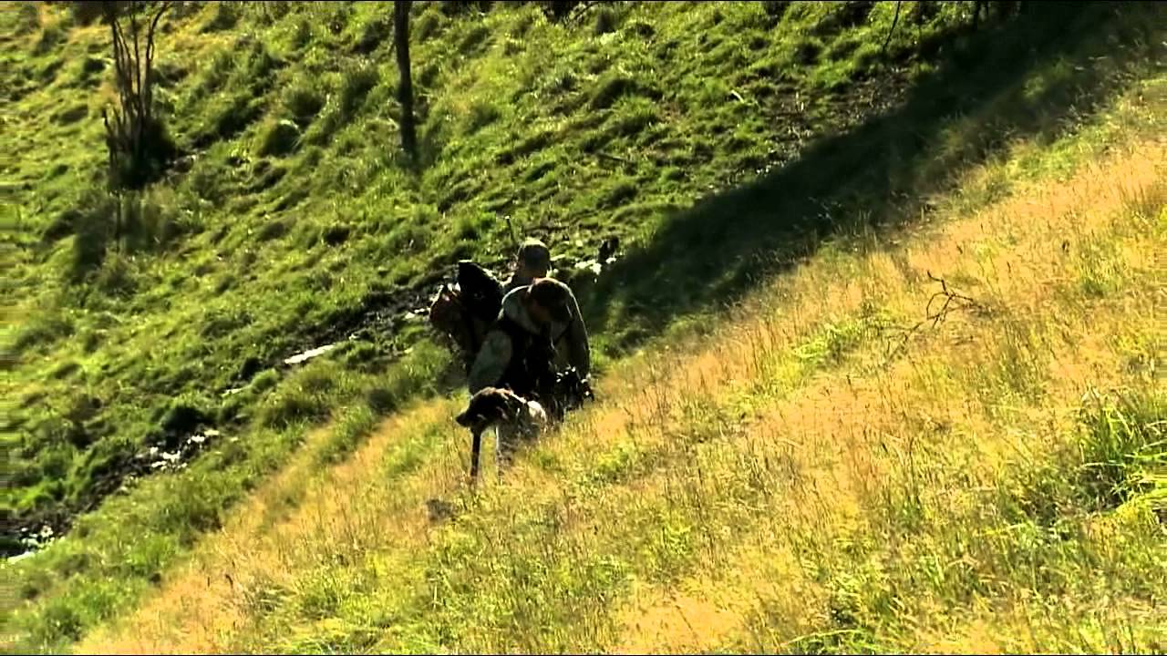 Outfitters Rating TV - S01/E03 - Four Seasons Safaris - Red Stag