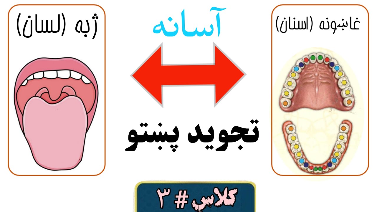 Tajweed ul Quran in Pashto Class # 3 | Tongue and Teeth in Tajweed #tongue #teeth #tajweed