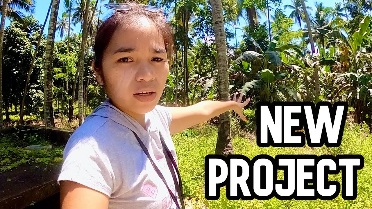 Banana Farm: Filipino Planting Techniques | Philippines Province