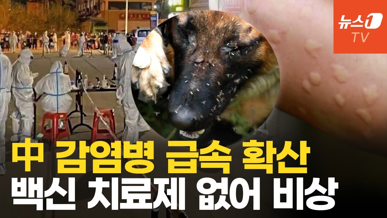 中 치쿤구니야 열병 5,000명 돌파…전 세계 확산 위험 '비상'