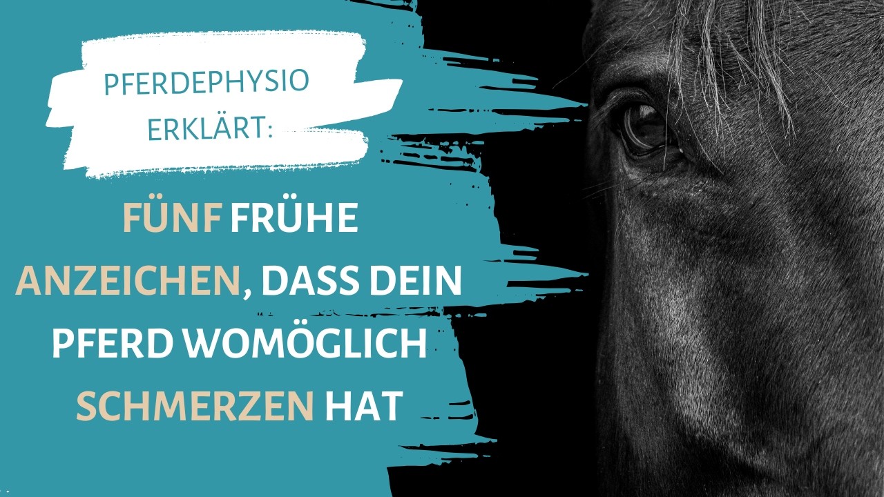 5 frühe Anzeichen, dass dein Pferd Schmerzen hat