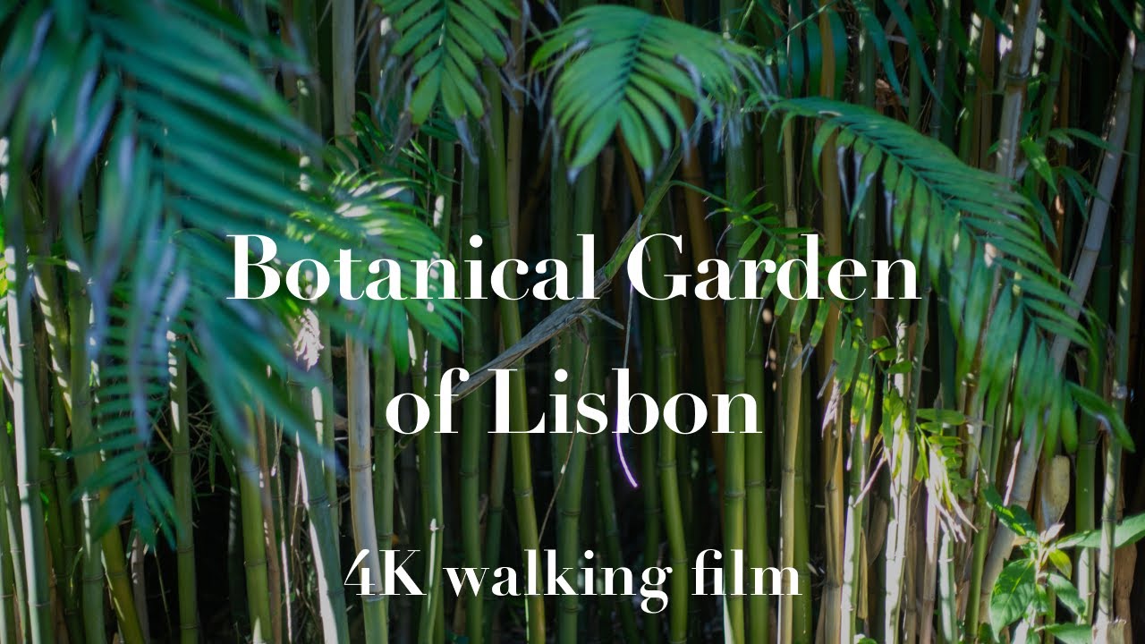 🌳 Botanical Garden of Lisbon &ndash; Silent Walk in 4K 60fps
