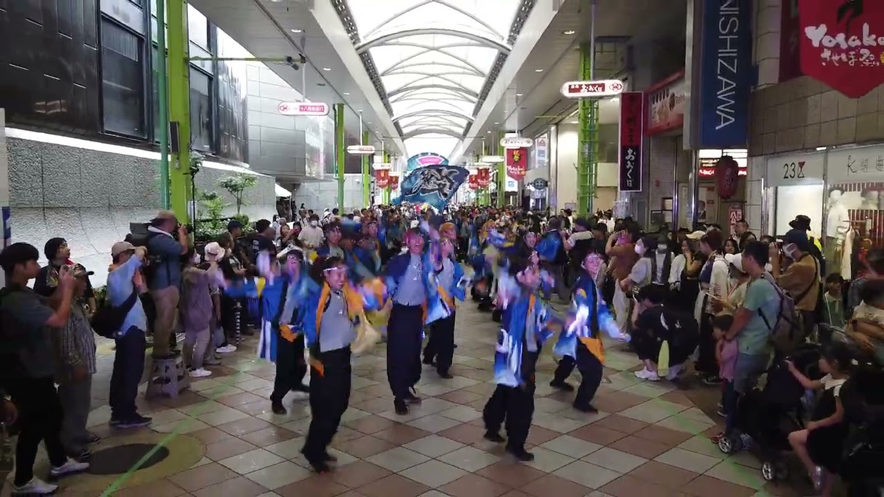長崎大学『突風』第26回YOSAKOIさせぼ祭りパレード会場