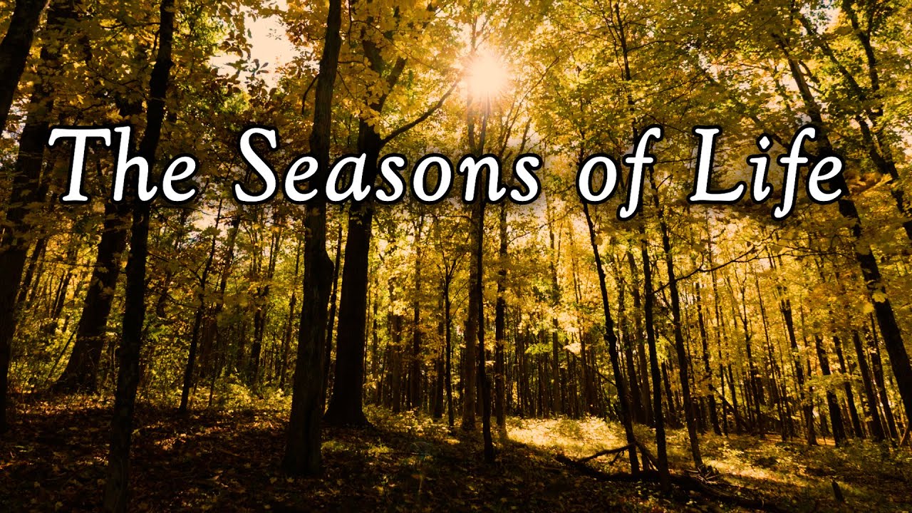The Seasons of Life – A Vedantic Contemplation – Immersive Experience