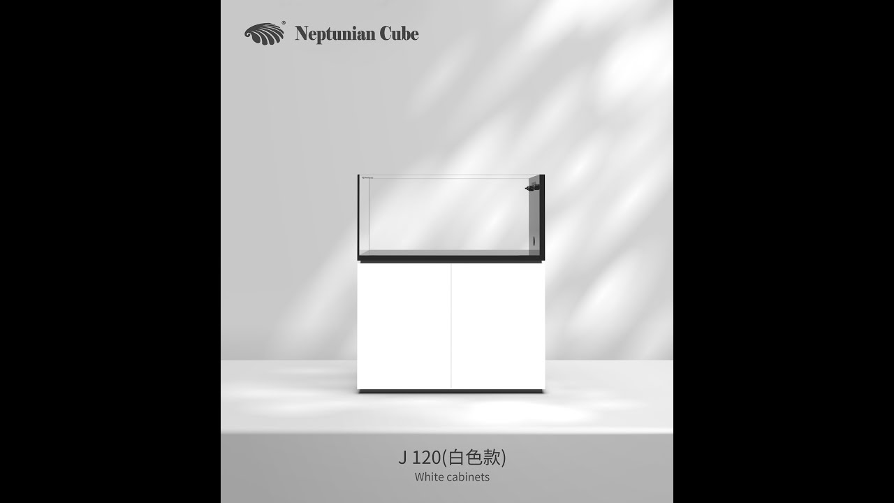 Neptunian Cube F120 Aquarium Installation Video