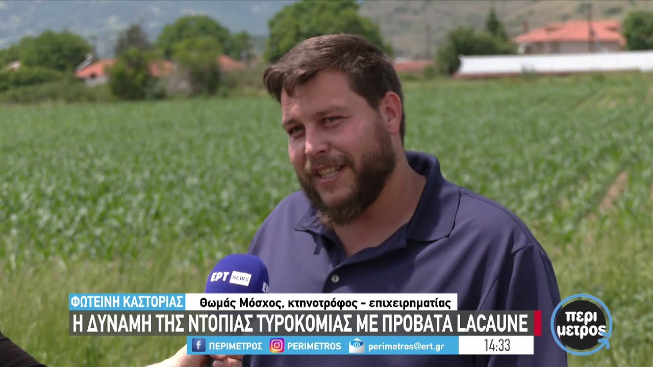 Η δύναμη της ντόπιας τυροκομίας με πρόβατα lacaune | 14/06/2023 | ΕΡΤ