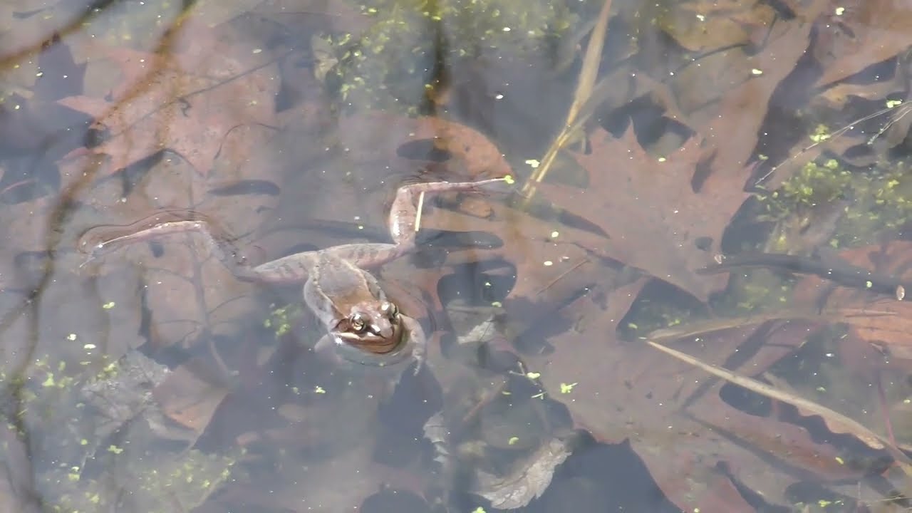 Conservation Programs at Mohonk Preserve