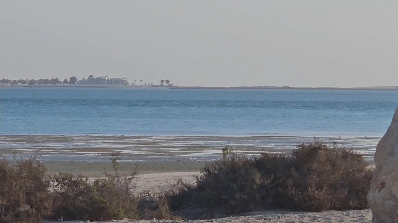 Жизнь у моря 🌊 Уютное утро у моря. Настоящее кастильское мыло, мини-огород и полезные блинчики