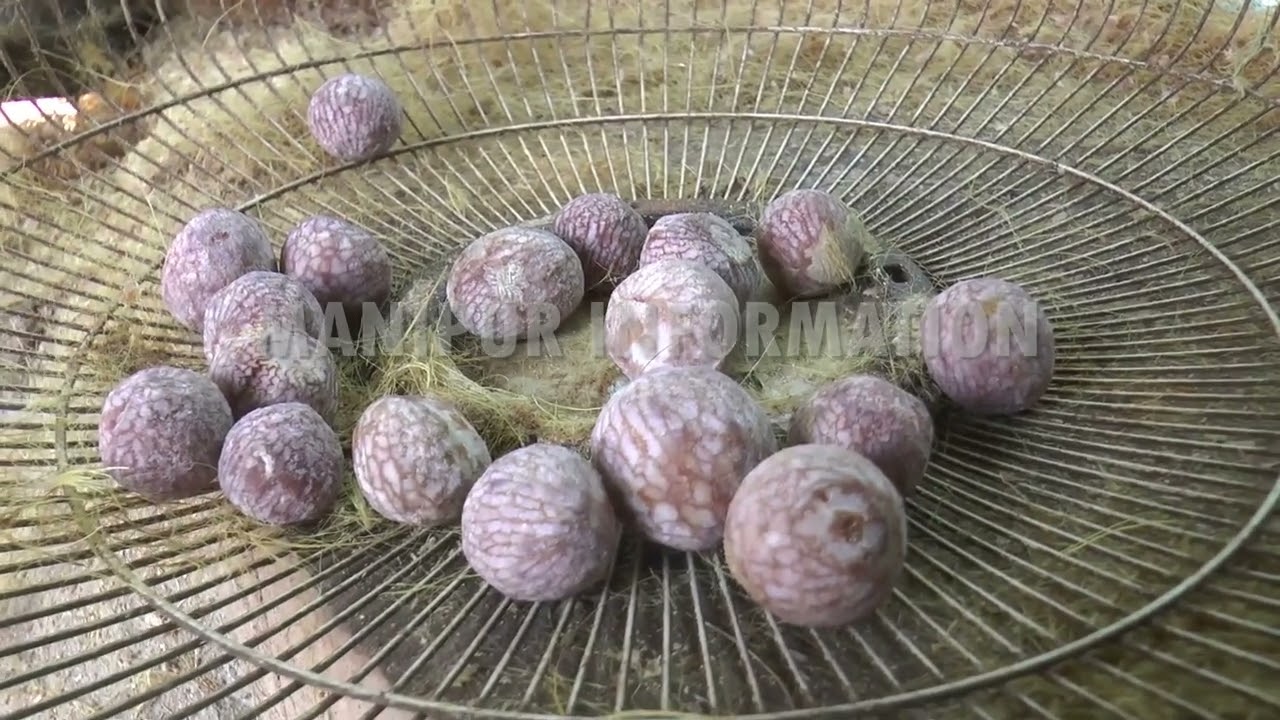 Churachandpur, retired army man invents betel nut peeling, leaf washing machine