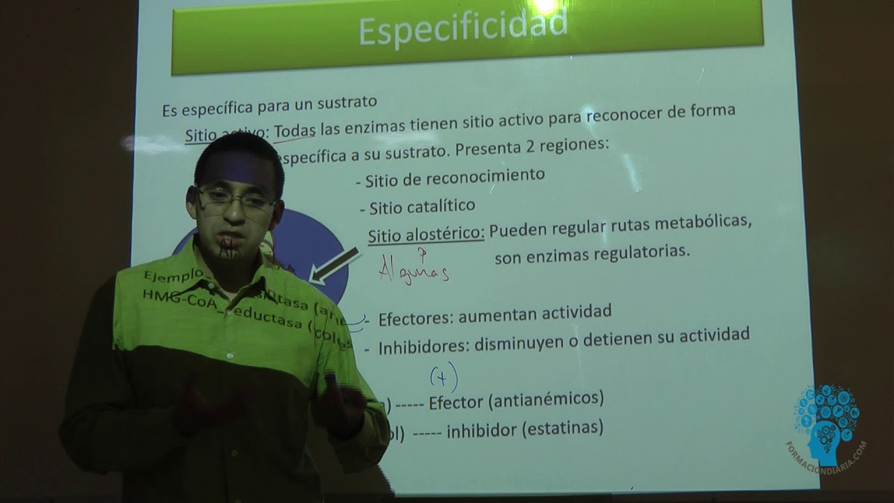 Enzimas:  Especificidad