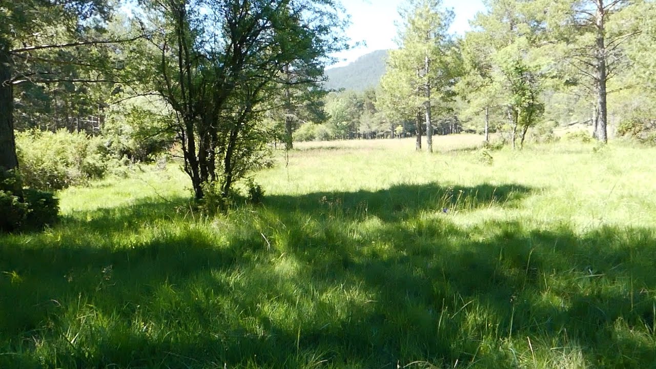 Suelo y clima
