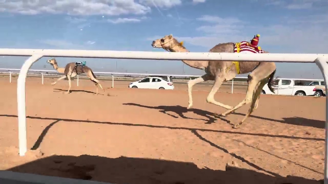 ش 1 رئيسي حيل غربة ل رفيع سميحان حمدان الشمري 