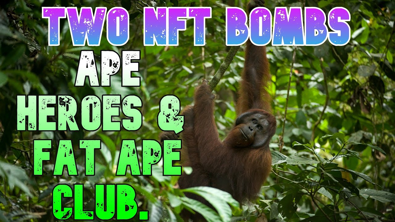 Two NFT BOMBS Ape Heroes & Fat Ape Club. Let's Ape In