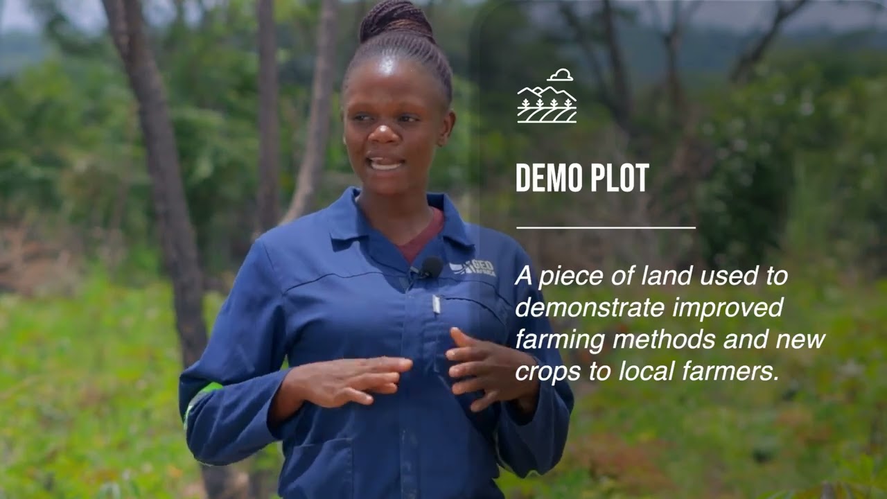 GED Africa's Climate Smart Agriculture Documentary