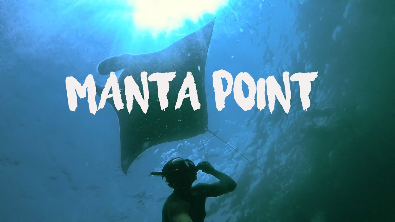 Bali Nusa Penida | Snorkeling Manta point