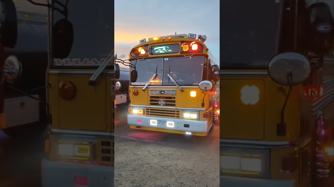 David pacion por los buses 504