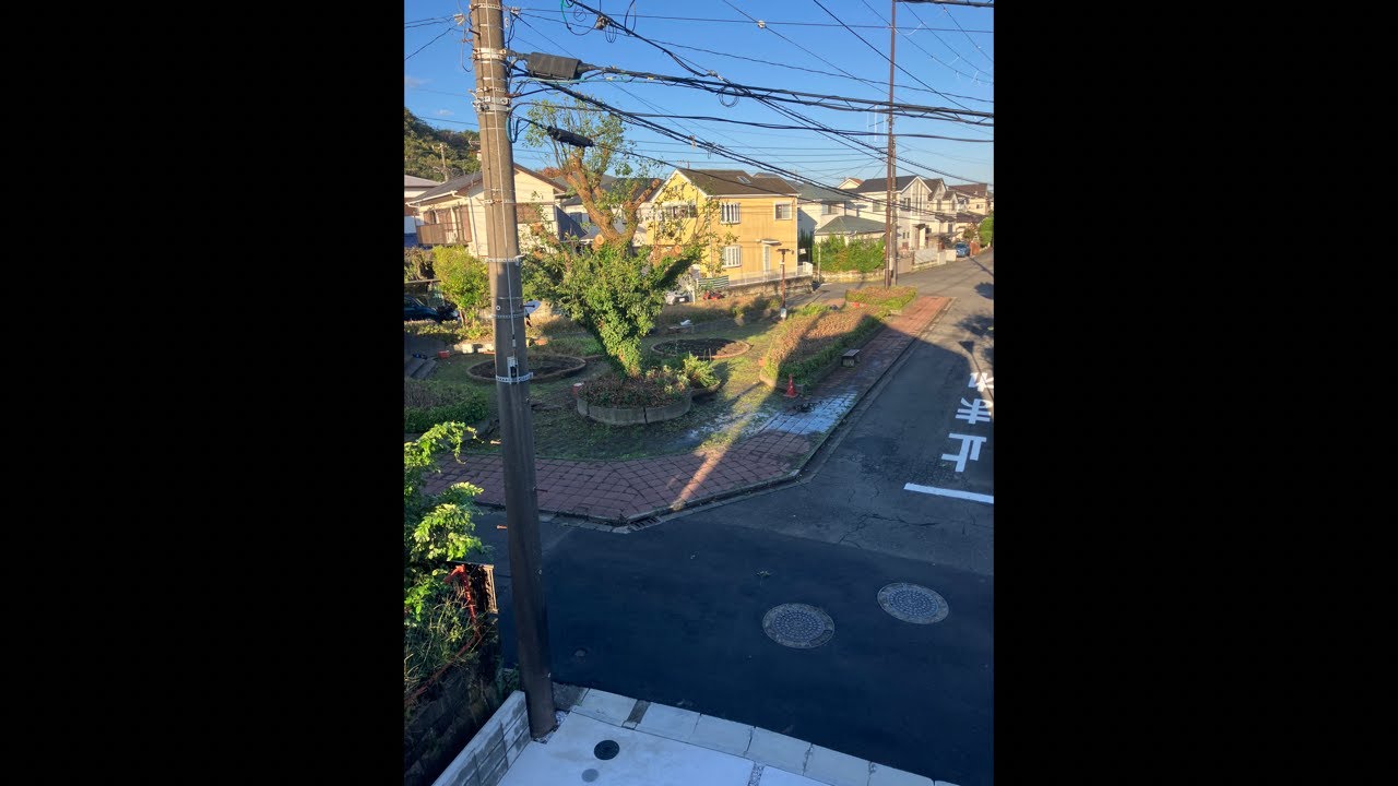 Heading out to a local train station market on a Sunday morn 🌞 | World English School Today