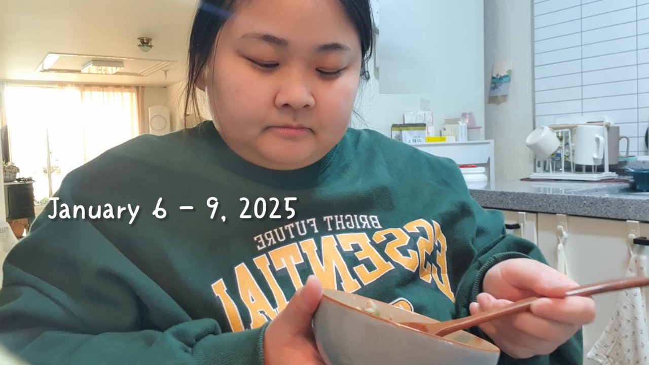 다이어트 식단일기 vlog 가지덮밥, 순두부계란찜, 소고기덮밥