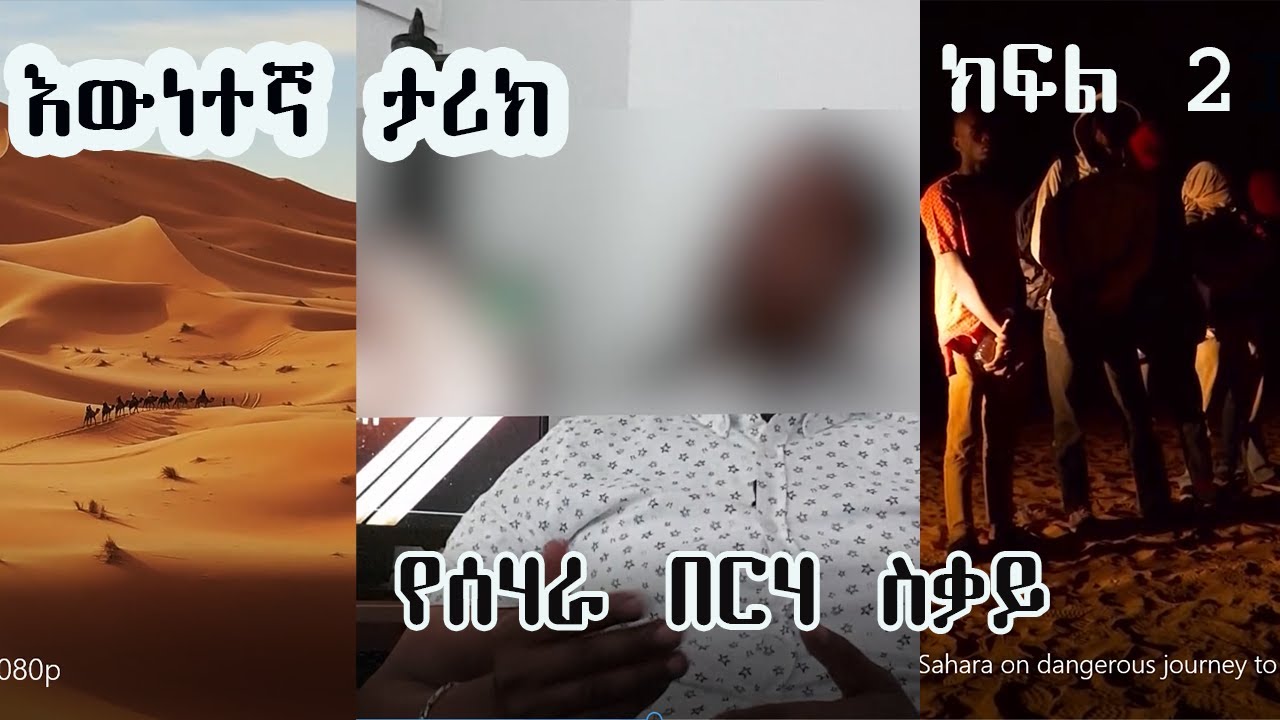 የሰሃራ በርሃ ስቃይ