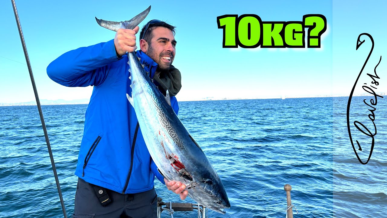 COMBATTO con un TONNO di 10kg e lo CUCINO in barca a vela!