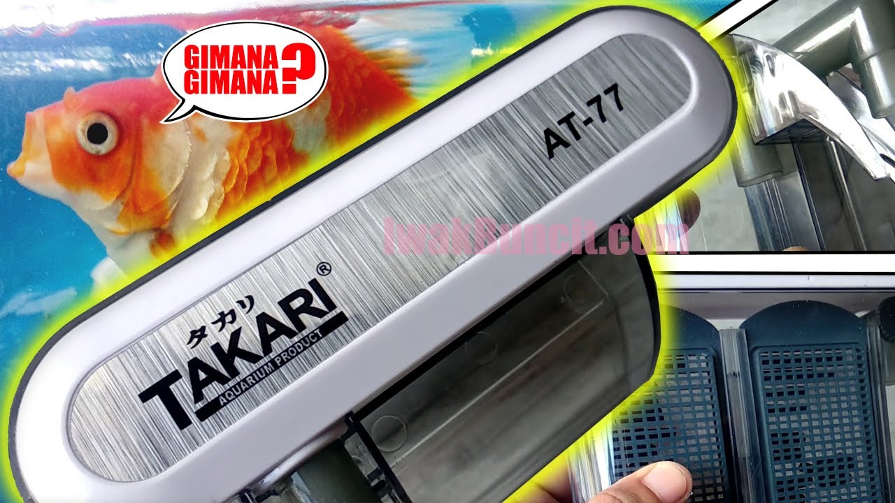 Pengalaman 3 Minggu Menggunakan Filter Gantung TAKARI AT-77 di Aquarium Ikan Mas Koki: Efektifkah?