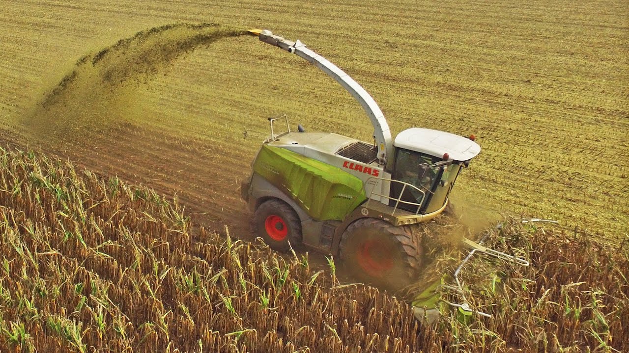 Mais Silage | Claas Jaguar 960 | Dode mais over het land spuiten | Pleizier & Timmer | 2018